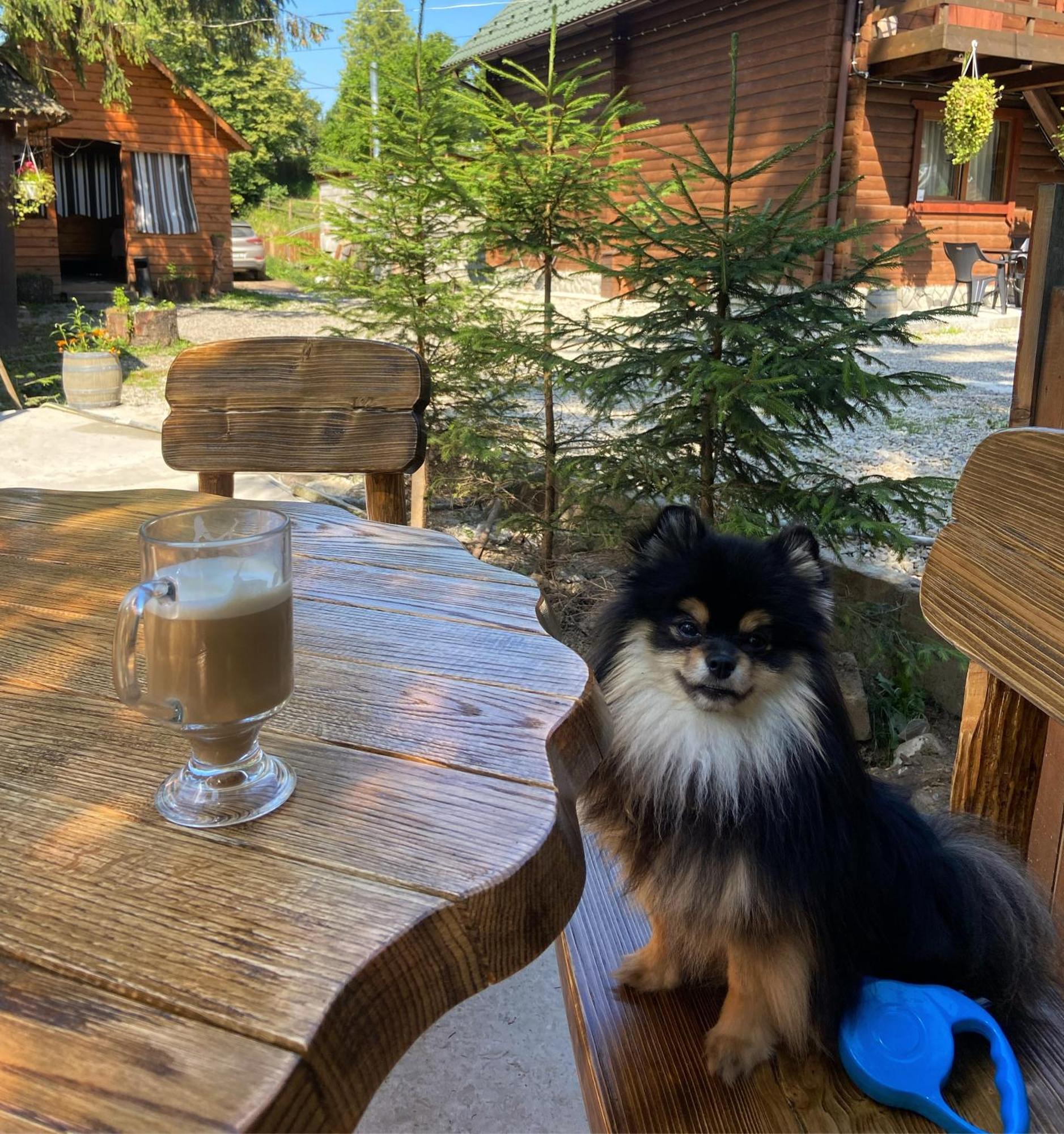 Водограй Hotel Vorokhta Luaran gambar