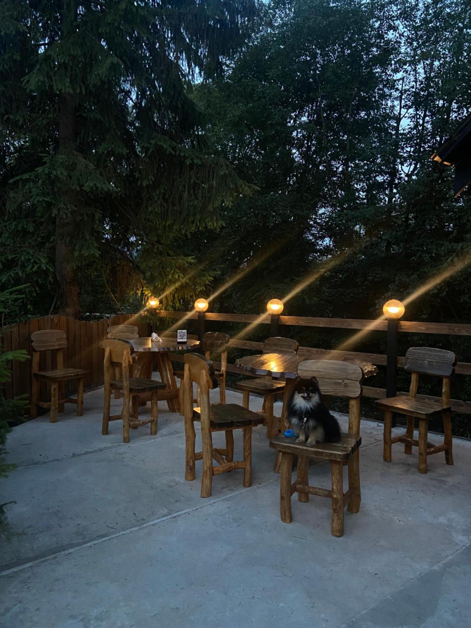 Водограй Hotel Vorokhta Luaran gambar