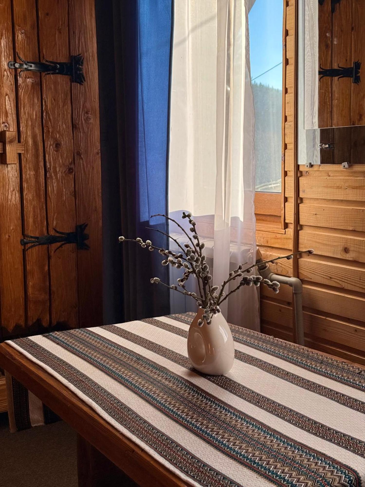 Водограй Hotel Vorokhta Luaran gambar